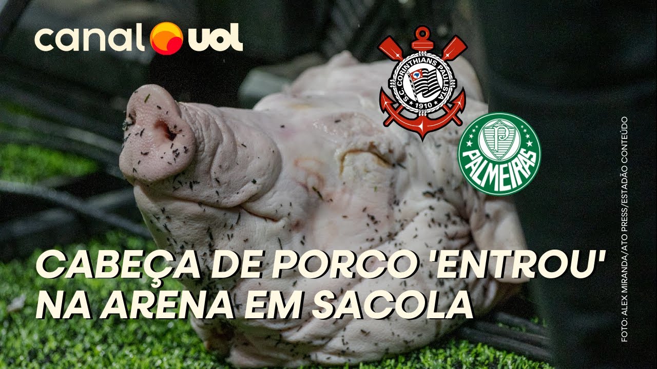 CABEÇA DE PORCO 'ENTROU' NO ESTÁDIO EM SACOLA HORAS ANTES DE ...