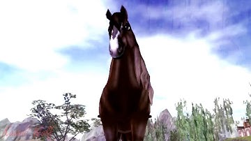 𝖲𝗍𝗋𝖾𝗌𝗌𝖾𝖽 𝖮𝗎𝗍 | 𝖲𝖲𝖮