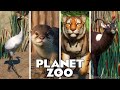 ALL 130 ANIMALS! || Every Single Animal in Planet Zoo || Including DLC Wetlands Pack 2022