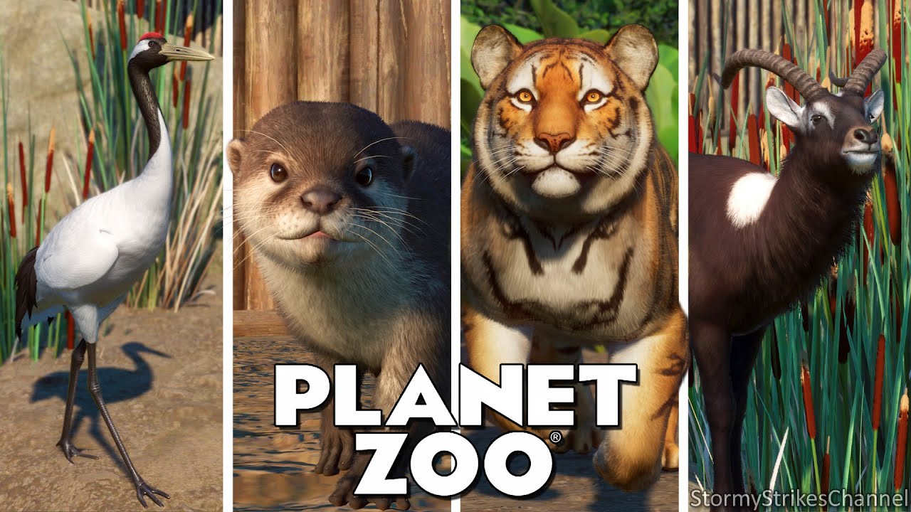 ALL 130 ANIMALS! || Every Single Animal in Planet Zoo || Including DLC  Wetlands Pack 2022 - YouTube