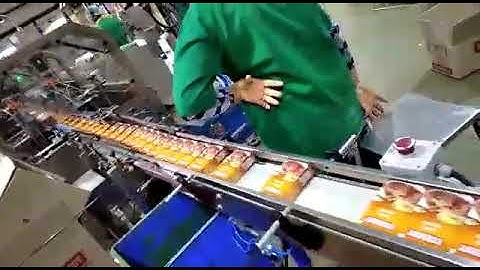 High Speed Cartoon Collating and Over Wrapping Machine 350 CPM