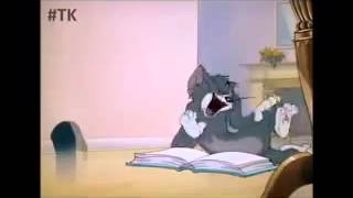 Tom and jerry funny reading maths laughs
