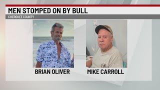 2 Men Stomped By Bull While Working In Upstate Pasture