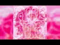 IDN - Perfect (Audio)