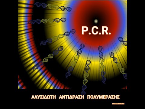 Βίντεο: Γιατί υπάρχουν εκκινητές RNA στην αντιγραφή του DNA;