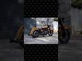 Ape Curve Brutale 1.5" handlebars on Matze's Chicano Platz 1 Harley-Davidson Heritage