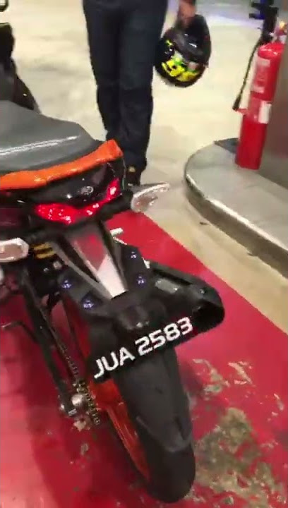 Y15zr Timing kuda