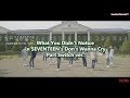 What You Didn t Notice in SEVENTEEN s Don t Wanna Cry Part Switch ver