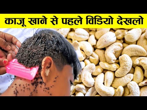 10 अजीब Reactions जो आपको Dry Fruits खाने से हो सकते है | Dry Fruits Ke Bare Mein Jankari Hindi Me