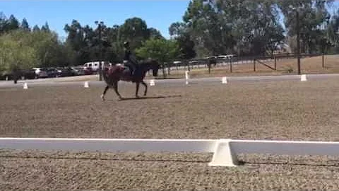 Rainbow Sky with Heather Pollard - Training Level ...