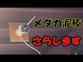 めだか泥棒を晒します!!＃1 ~美心めだか~