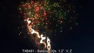 TXB481