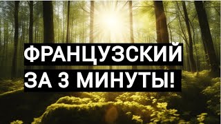 💕💕💕Французский Язык За 3 Минуты!