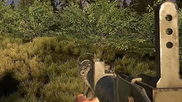 Post Scriptum Highlight: Tiger Hunt
