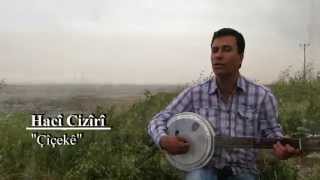 Hacî Cizîrî - Çîçekê