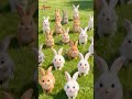ആട് ಮತ್ತು മുയൽ - ഫാം വിനോദ ഗാനം - Goat and Rabbit - Farm Song | Rhymes for Kids | Kids | Shorts