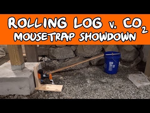 Rolling Log Vs. Goodnature CO2 Mouse Trap