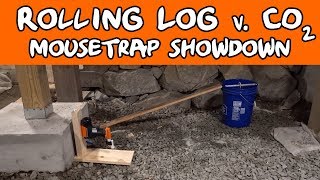 Rolling Log vs. Goodnature CO2 Mouse Trap