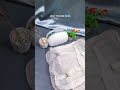 Mudik dan traveling anti gedebag gedebug #travelbag #travelbags #organizerbag #travelorganizer #fyp