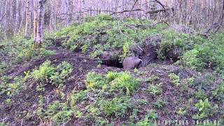 2015 05 11 19H55M Male, Speed X3