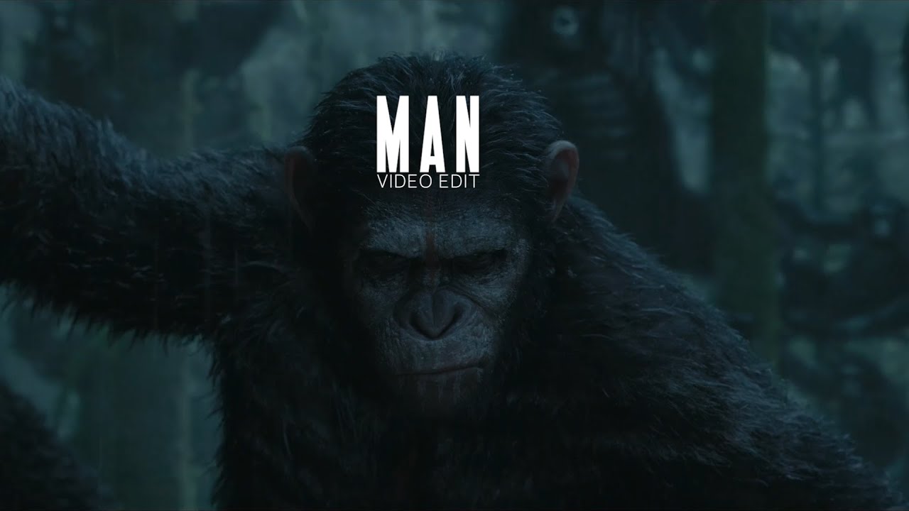 MAN | Planet Of The Apes Video Edit