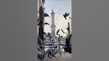 القرآن الكريم |سورة قريش🤍