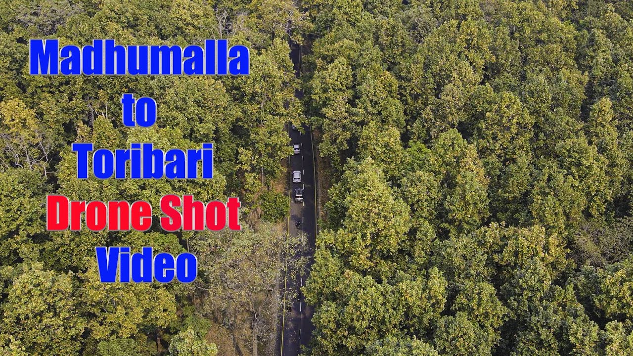 Madhumalla To Toribari Drone Shot Video | Roshan Vaiko wedding Ma Jada😎😎😎