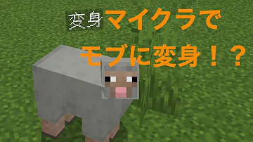 マイクラコマンドモブに変身 Mp3