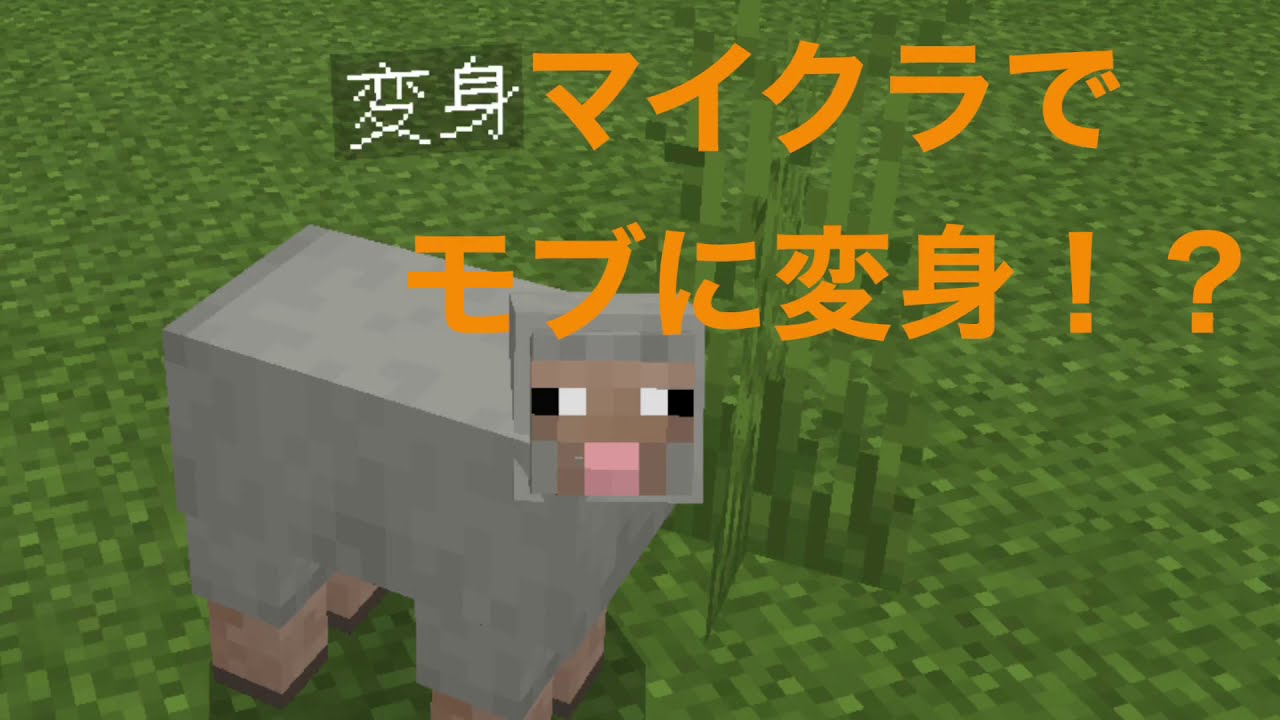 マイクラpe コマンド初心者でもできる モブに変身 Youtube マイクラpe コマンド初心者でもできる モブに変身 Youtube