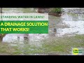 Standing Water in your Lawn? 1 Drainage Solution that Works!