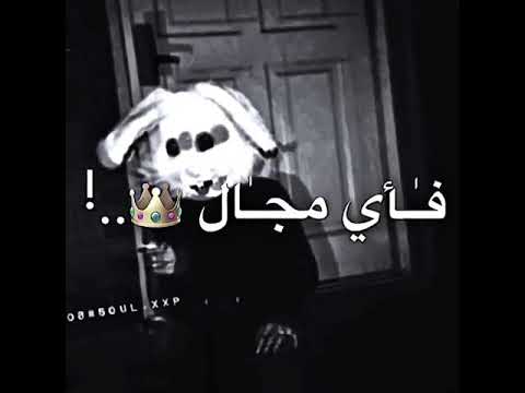 مهرجان مفيش حذر سندال باي مجال قرن غزال بورت في الحكايات حالات وتس
