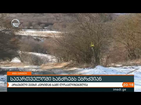 საქართველოში ხანძრებს ებრძვიან