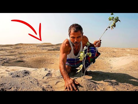 Video: Toeristische Sterft Aan Een Verdwaalde Kogel In Mexico