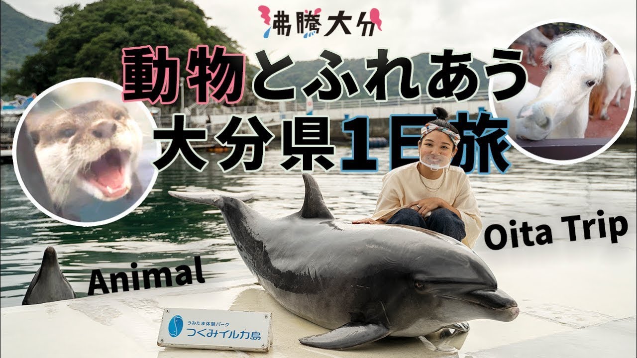 大分で1日まるごと動物ふれあい体験！アフリカンサファリ・うみたまご・つくみイルカ島【沸騰大分】