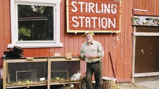 Birøkting I Norge På Australsk Vis