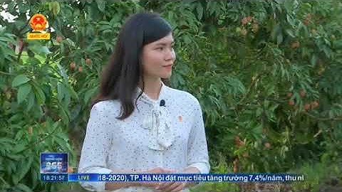 Lễ hội vải thiều Thanh Hà 2018