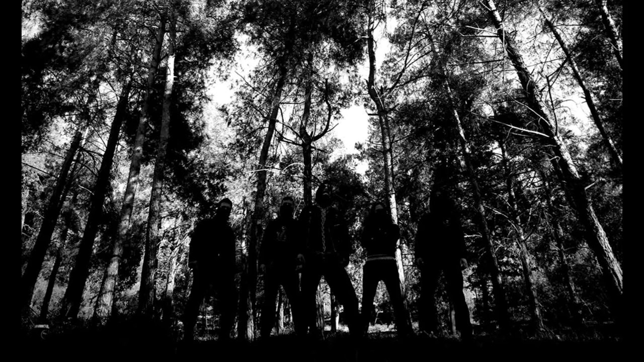 Sørgelig - Faces of Disgust (2020)