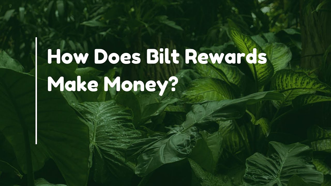 How Does Bilt Rewards Make Money? - YouTube