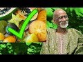 Dr sebi explains why you should eat tropical foods