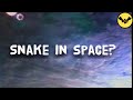 NASA Astronaut Saw A "Space Snake"