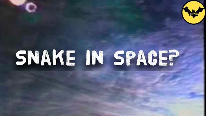 NASA Astronaut Saw A "Space Snake"