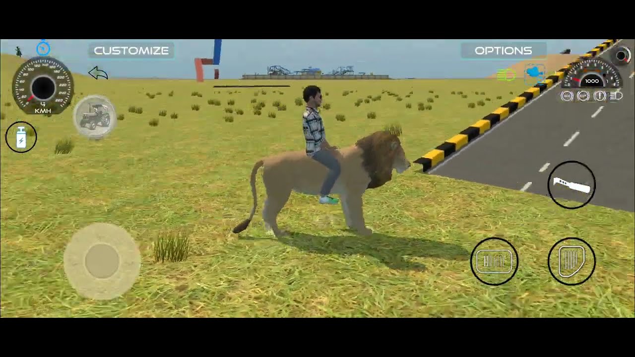 Tiger riding on ramp 