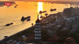 Every thing leaves a trace: eDNA technology empowers environmental protection in China