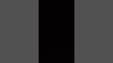 تلاوة عطرة من سورة "النبأ" بصوت زوجي