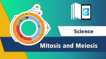 Difference between Mitosis&Meiosis|Cell Cycle|3D Animation|Science|Animated Science Video|elearn K12