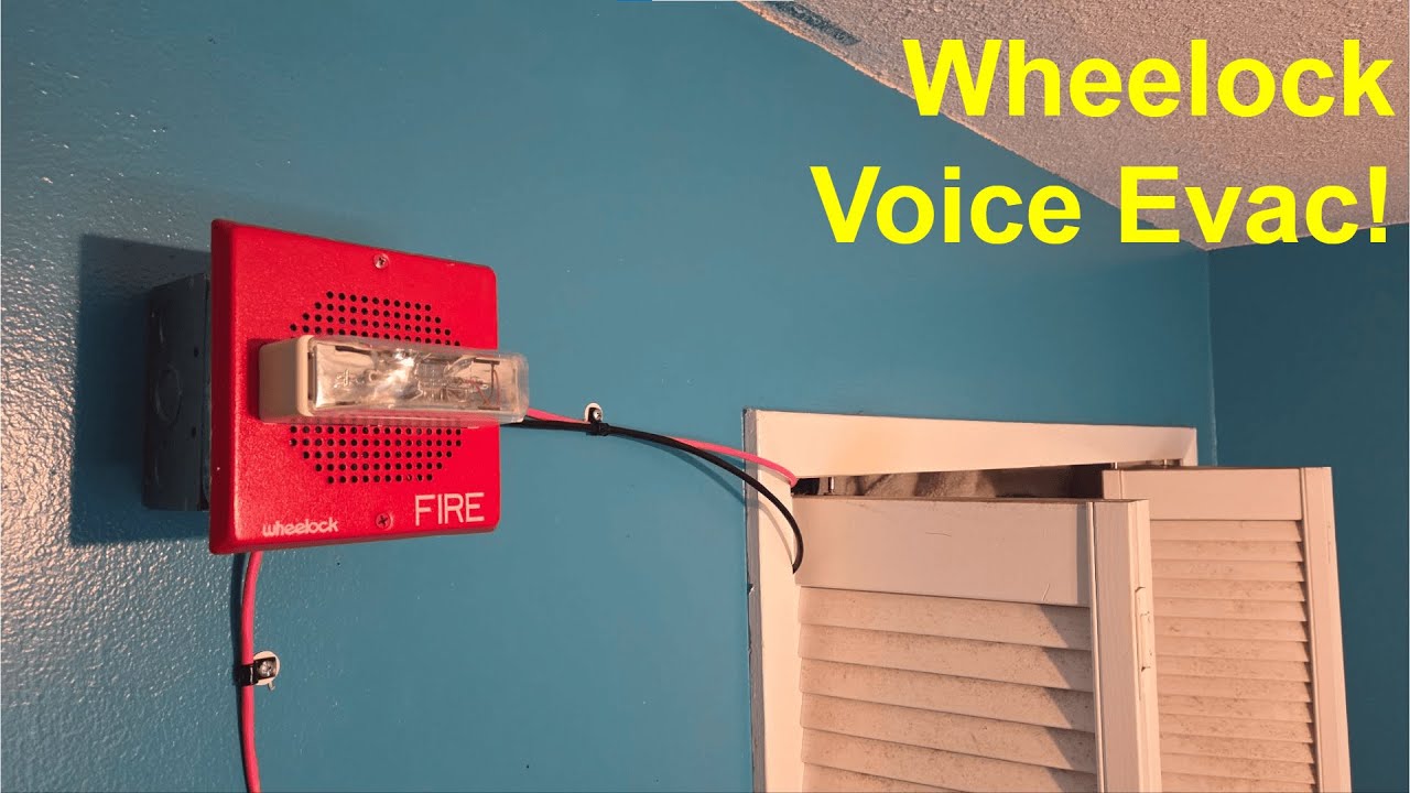 System Test 14 | Wheelock E70 Speaker Strobe