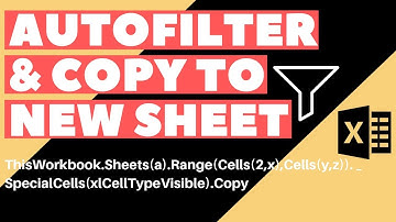 Excel VBA Macro: Autofilter And Copy to New Sheet (Step-by-Step Tutorial)
