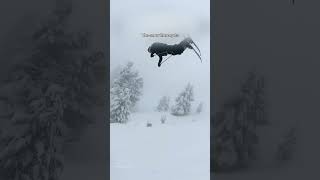 Most beginners spend the whole week fighting the wrong snow  #skiing #ski #chamonix #alps #mountains Net Worth