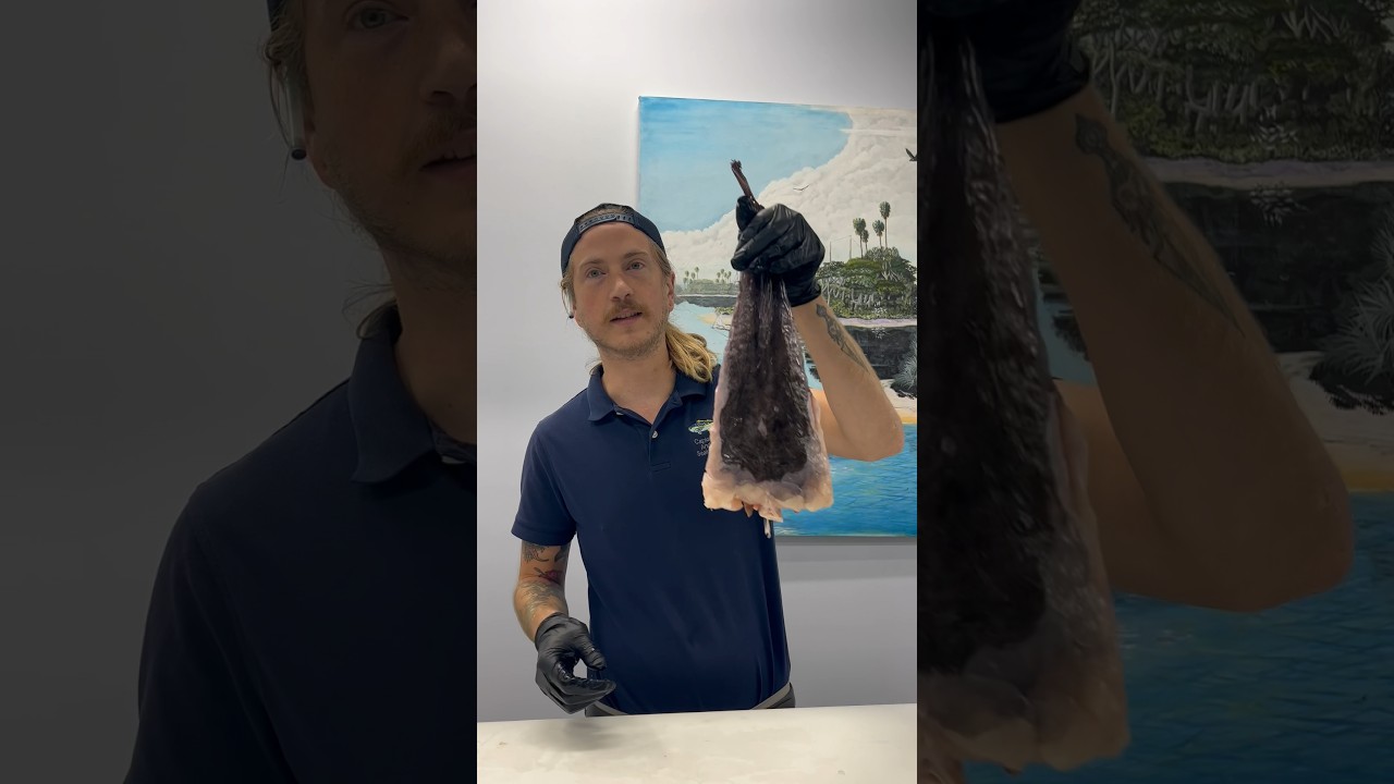 Monkfish! This fish is known as “poor mans lobster” 