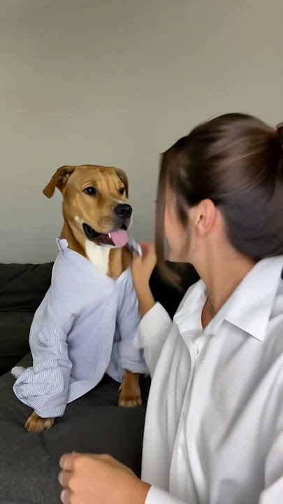 #dog #pets #puppy #shorts #032